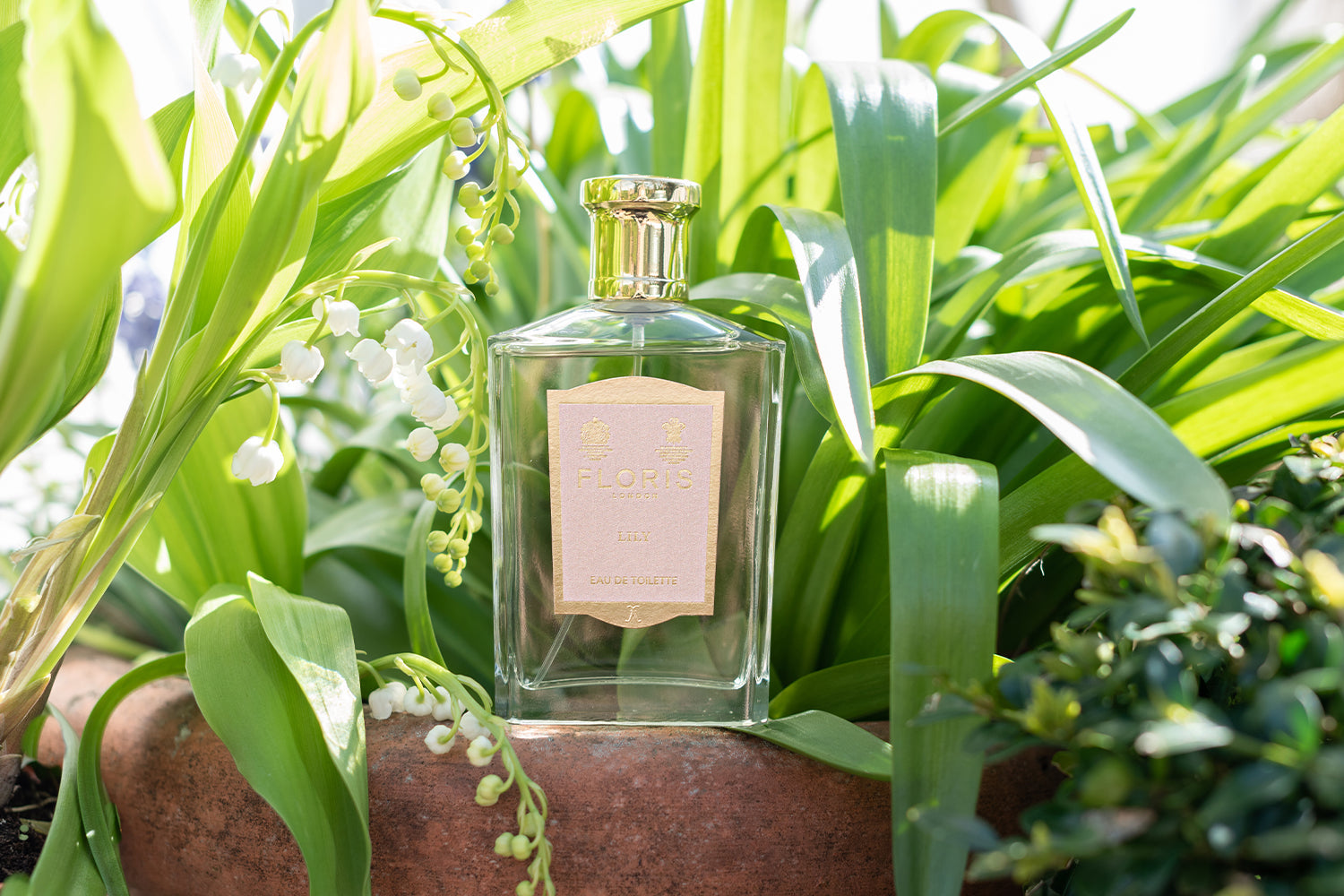 Floris London's Lily: A Fragrance Inspired by Tradition