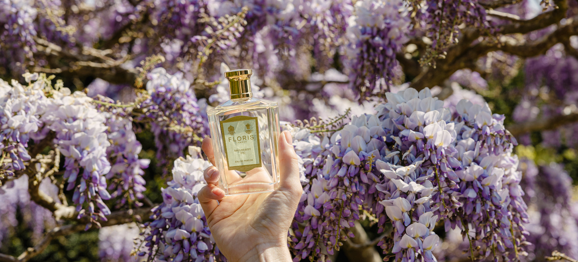 Summer Perfumes of Paradise