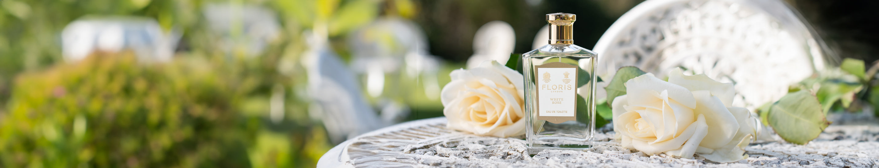 Website_Collections_Banner_-