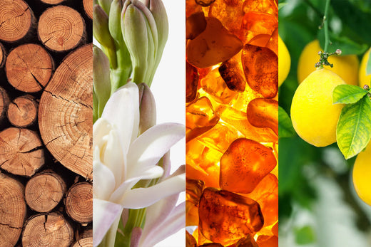 A collage of images including a pile of wood, a stem of Tuberose, Amber resins and a lemon attached to a tree.