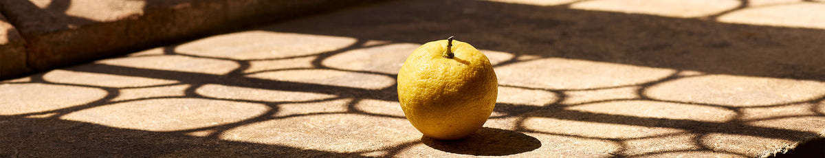 A single yellow lemon sits on a sunlit floor, surrounded by the intricate shadows of a patterned screen or fence.