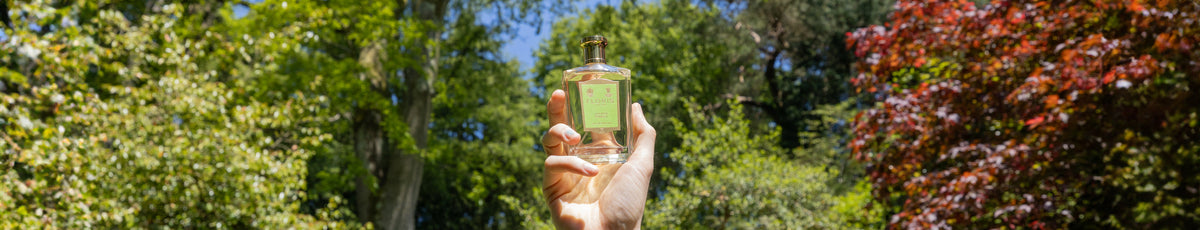 Hand holding a perfume bottle in front of a wisteria tree with clusters of purple and white flowers.