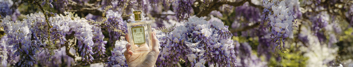 A hand holding a perfume bottle in front of purple and white wisteria flowers.