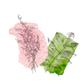 Illustration of flowers and leaves against pink and green watercolor splotches on a white background.