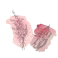 Sketches of a lily and lily of the valley flowers over pink watercolor backgrounds.
