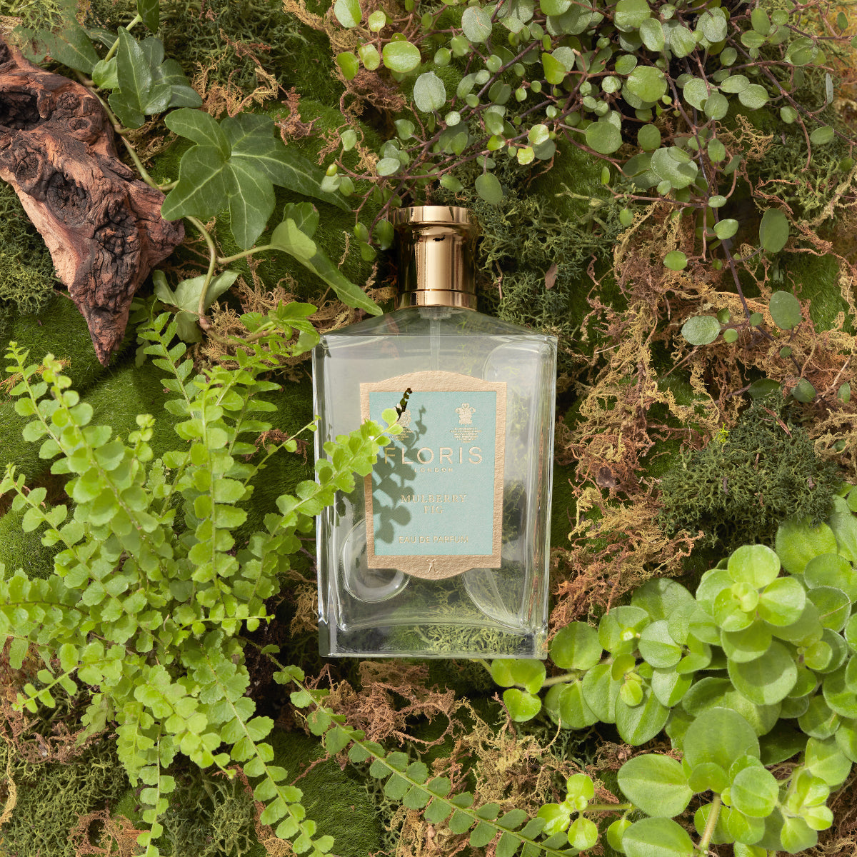 Floris London's Mulberry Fig Eau de Parfum rests on green foliage, emitting a floral amber scent.