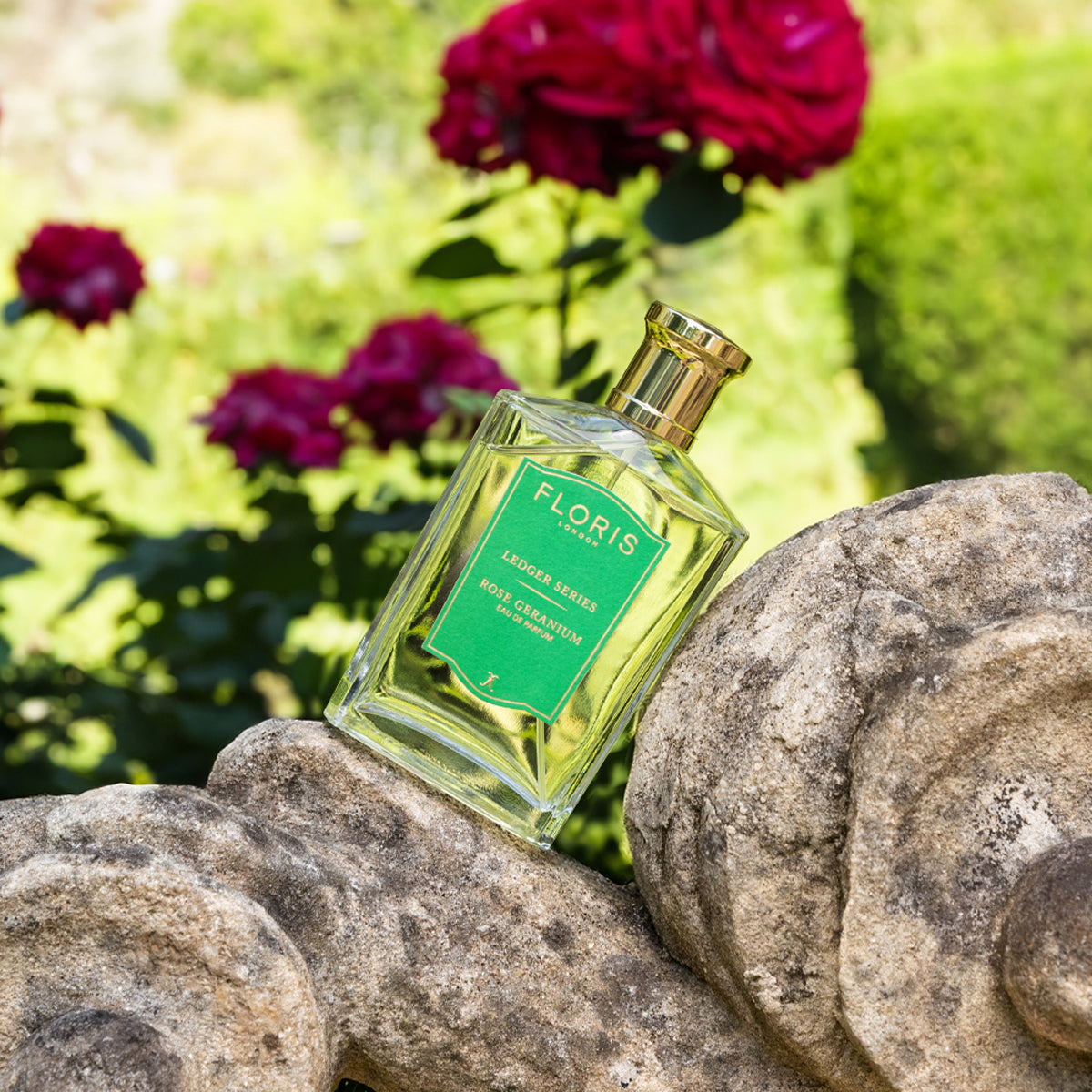 A Floris London Rose Geranium bottle with a green label sits on a stone ledge, surrounded by blooming red roses and lush greenery.